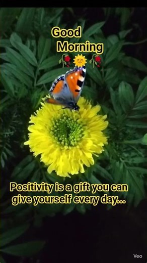 # Shorts # positivity think # viral video 🌞🥀🌞