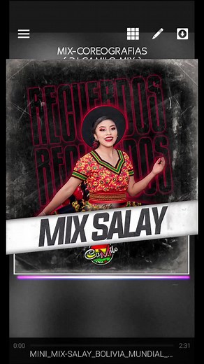 Salay Mixes 2024 | Camilo Mix | Bolivian Salay Music