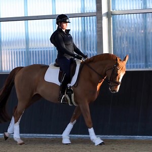 Engineered for airflow and serious strike protection, they offer shock absorption and all-day breathability -without the bulk. The bell boots? Ultra-durable outside, cushioned with soft techno wool at the top to guard your horse’s most vulnerable spots - no rubbing, no fuss. Everyday comfort. Elite performance. Zero premium price tag. | BARE Equestrian