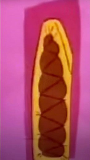 Great TV Memories: Hong Kong Phooey Intro 1974 Hanna Barbera