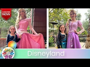 Meeting 10 Disneyland Princesses 2022