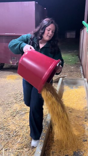 This is how I’m actually getting by without the boys this week 😂 #MotherDaughter #DryHumor #Sarcasm #RanchTok #AgTok #KeepRanchin #KingOfTikTok #RanchLife #Ranch #Feeding #BarnChores #BarnAnimals #Animals #FarmAnimals
