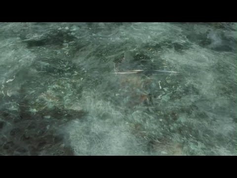 Nathan Drake drowned death Uncharted: The Nathan Drake Collection_20230722205958