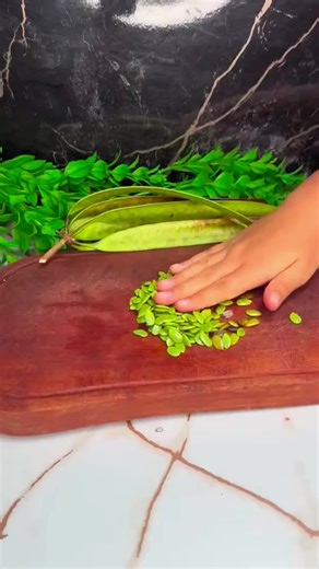 Exploring the Benefits of Medicinal Plants