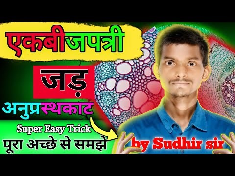 "एक बीजपत्री की जड़ | Monocot Root Structure & Function | Biology Short Video"