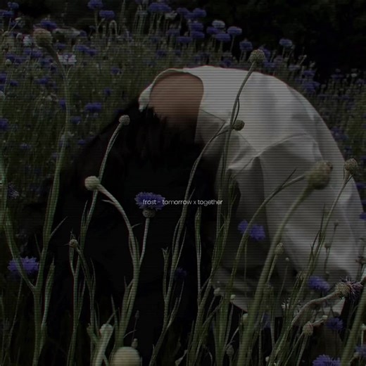 Letra en Español de Frost Tomorrow x Together