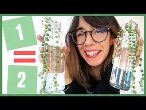 String of pearls propagation - how to propagate string of pearls