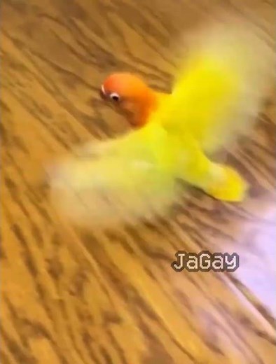 Portal (2) #portal2 #portalgame