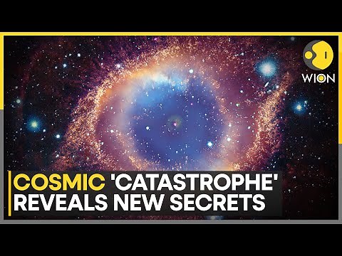 Supernova Reveals Its Secrets, Scientists See What's Inside a Dying Star | WION