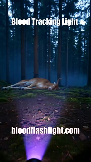 Blood Tracking Lights for Hunting Deer Essential Tool Best Gifts for Hunters