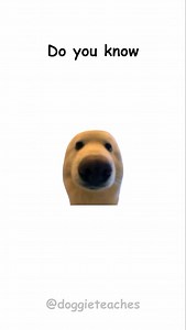 161K views · 13K reactions | Doggie Explains How to Open Any Lock Locks look tough — but they all have weak spots.  Got a bobby pin or paperclip? Boom — makeshift key. Tension wrench turns, pick jiggles… click — you’re in. Combination locks? Feel for the clicks. Listen close. But hey — use your powers for good, not mischief. Because real skill? Knows when not to use it. #dogs #lockpicking #lifeskills #doggieteaches 易 | Doggieteaches | Facebook