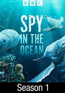 Spy in the Ocean: Deep Thinkers