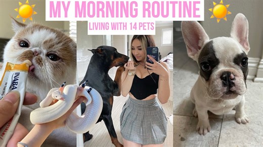My Animals Morning Routine (14 Pets and Counting)