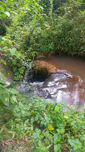 Surveyor Mega@MappingSurveys (@megamappingsurveys)’s videos with a thousand years - favmusicvibes