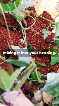 This Free Material Keeps Your Worm Bin Working All Winter #WormComposting #CompostingTips