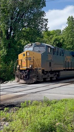 Csx grade crossing #railtrack #railway #csx #railroad