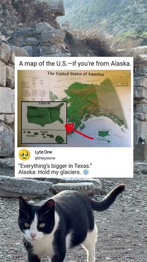 US map, if you’re from Alaska