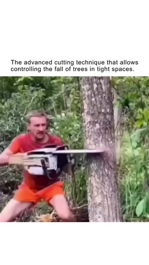 Precision over power 🌲🪚 Not brute force But control This advanced cut keeps the tree standing after the main cut Buying time Creating leverage Guiding the fall exactly where it needs to go In tight spaces Near structures Where mistakes cost everything This isn’t cutting It’s calculated control FOLLOW @xperiencetoday #precisioncraft #forestryskills #controlledfall #natureengineering #nextlevel