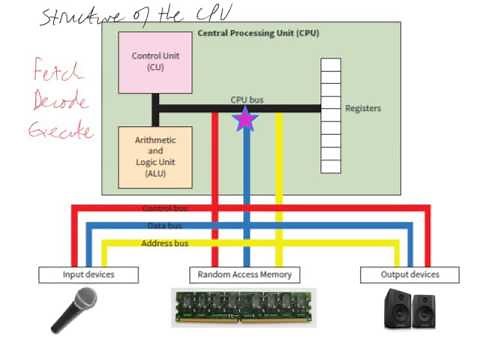 The structure of the CPU