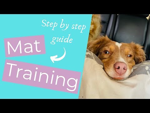How to Calm Down a Dog with Dog Mat Training //THE KIND CANINE