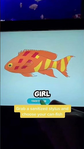 What This Girl Put on Her Fish Surprised Everyone!