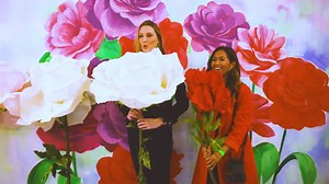 9 comments |  Dive into incredible with all new and fascinating MUSEUM OF ILLUSIONS! Unforgettable 3D artworks for viewers of all ages, without restrictions, and guarantees – no one will feel bored! Photography encouraged. Children between 6-12 years old are $10. FREE admission for children 5 years old and under. Tickets - https://bigfunny.net Video by Bryan Campos (IG - @oh_b ) | Museum of Illusions | Facebook