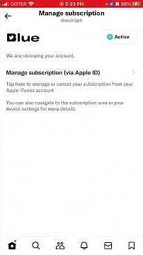 Twitter Blue - reviewing your account - how much time to wait to get a blue checkmark?