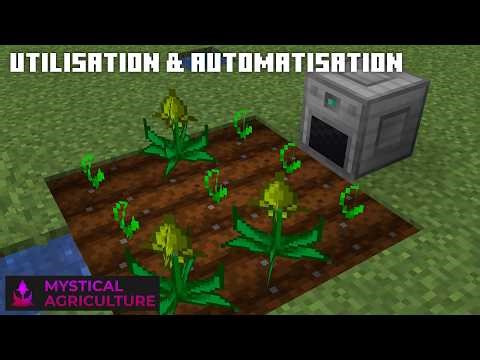 Using seeds + getting started with automation | Mystical Agriculture Guide 03
