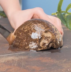 Tropical Bra Made of Coconut Shells | 5-Minute Crafts SHORTS