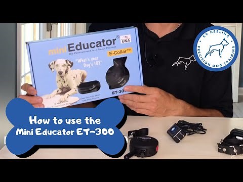 How to use E-Collar Technologies - Mini Educator ET-300