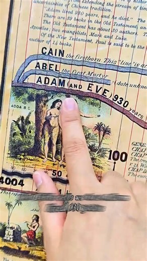 47 reactions | ️ Discover 6,000 Years of History in One Giant 22ft Timeline! From ancient civilizations to modern events - perfect for homeschool, Bible study, or classroom use.  Heavy-duty laminated panels with 64-page guide book.  Limited stock - journey through time today! #HistoryChart #HomeschoolResources #Timeline | Thecoursof | Facebook