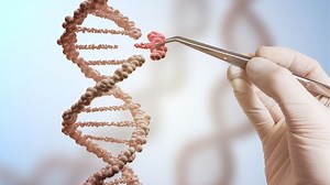 Debate Rages Over Safety Of CRISPR Gene-Editing Technique