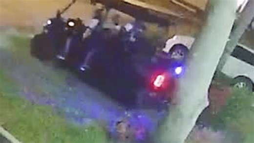 VIDEO: Group on ATV intentionally drove over flock of geese, killed 30 in 'total massacre'