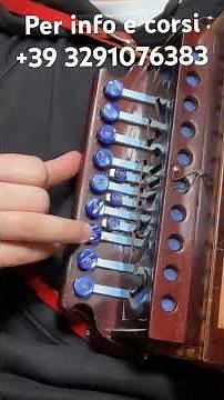 Lezione di tarantella calabrese con l’organetto. Tutorial. #calabria #organetto #lezionediorganetto