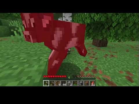 I'm going through all the Minecraft 1.1 seeds