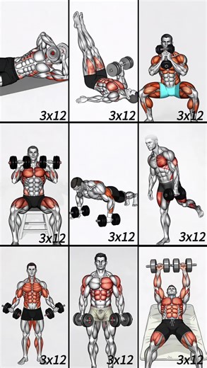 Du hast hart gearbeitet 💼 Jetzt ist es Zeit für dich 💪 Nur 1 Stunde Training pro Abend ⏱ Schweiß raus – Stärke rein 🔥 Diese 9Übungen machen dich stärker, Tag für Tag! 🏋‍♂ #Fitness #gym #exercise #workout #workoutroutine