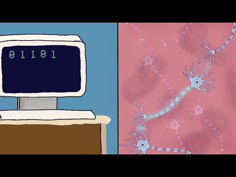 Optogenetics and how it works- My Breakthrough Junior Challenge submission