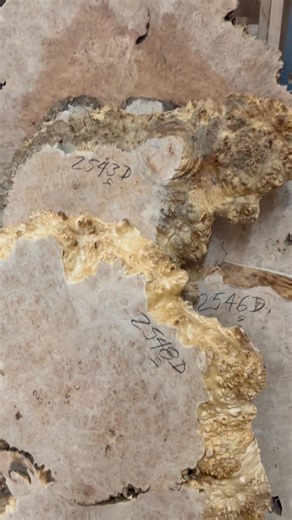 Shop Tour pt 5 ~ The Maple Room! Quilted, curly and burl maple for days!! Shop now @ www.nwtimber.com/shop | Northwest Timber