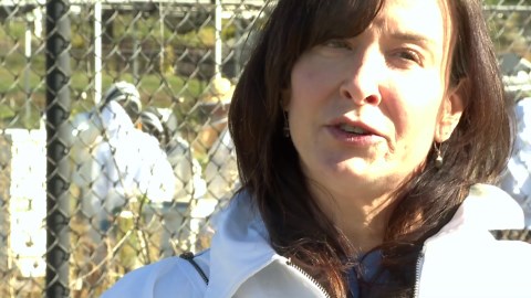 CSU launches honeybee health course amid rising pollinator decline