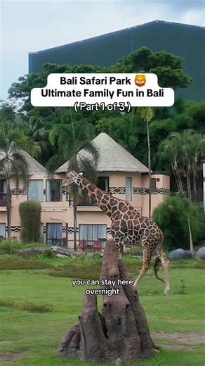Is Bali Safari Park Worth Visiting? 🦁🐘 Here’s Everything You Need to Know! If you’re wondering whether Bali Safari Park is worth a visit, we’ve got you covered! We spent the day exploring, and here’s what you need to know before you go. 🔹 What is Bali Safari Park? It’s one of Bali’s biggest and most popular wildlife parks, home to over 100 species, including lions, tigers, elephants, and more. You can see the animals up close on a safari-style tour and even book experiences like elephant feed