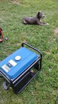 2400 watt Chinese generator not making power