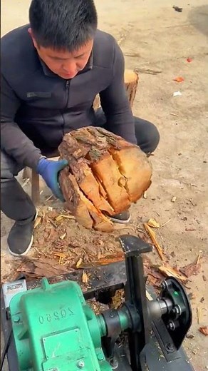 🔥 “Crazy Wood Splitter Machine Rips Logs Instantly! 😱🪵 #Shorts”