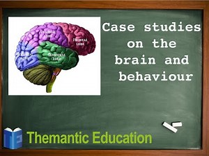 IB Psychology research methods - case studies on the brain and behaviour