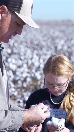 Like many farmers nationwide, Arizona cotton growers are facing one of their hardest growing seasons in decades. Adam Klepp talked to one cotton farmer in Buckeye about the challenges they're facing and the bailout recently announced by the Trump administration. | ABC15 Arizona