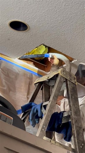 Vacuuming the bees into the box for relocation | Dana Chen Bista