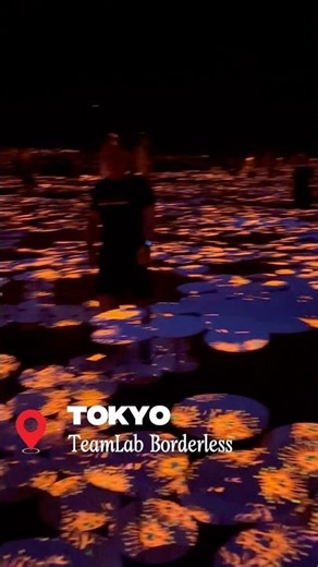 TeamLab Borderless Tokyo Japan #japan #teamlabborderless #tokyo #japantravel