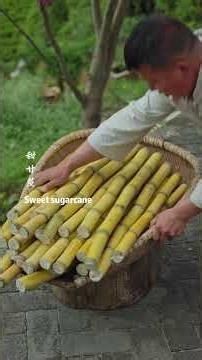 "Fine bamboo strands, skillfully inlaid into art" the first installment#bamboo #countryside #china