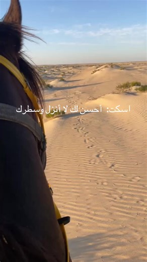 استكشاف بريقا ومربط الدريسي في الأحساء