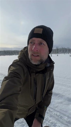 Back at the Finish Line | Dogsledding in Northern Sweden