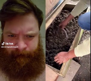 Exploring the Alaskan Bull Worm Phenomenon
